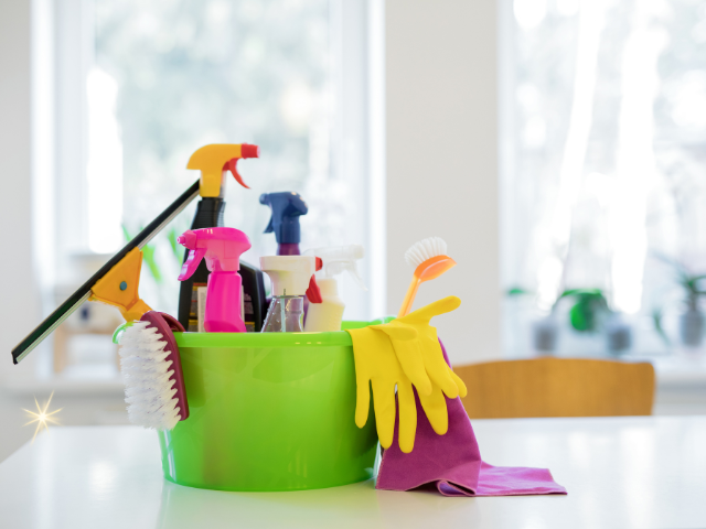 Are Landlords Responsible for Pest Control? A Complete Guide